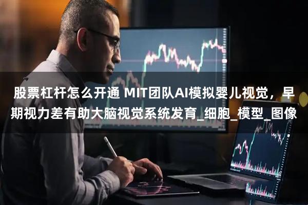 股票杠杆怎么开通 MIT团队AI模拟婴儿视觉，早期视力差有助大脑视觉系统发育_细胞_模型_图像