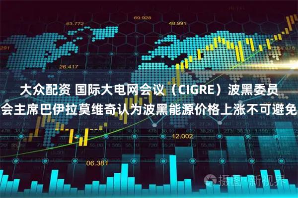 大众配资 国际大电网会议（CIGRE）波黑委员会主席巴伊拉莫维奇认为波黑能源价格上涨不可避免